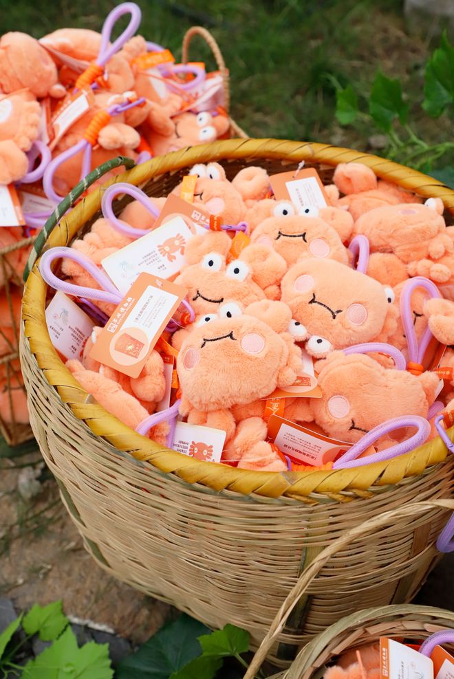 冰箱贴缘何成了“社交货币”瓦力棋牌试玩江南观察 小小(图2)