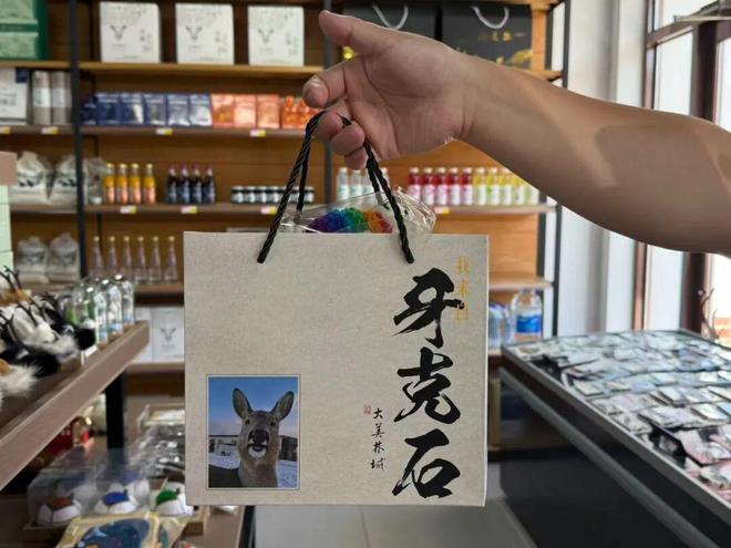 共鸣 牙克石文创冰箱贴“大受欢迎”瓦力游戏北疆文化 方寸之间引发情感(图2)